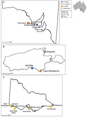 Diversity and Distribution of Escherichia coli in Three Species of Free-Ranging Australian Pinniped Pups